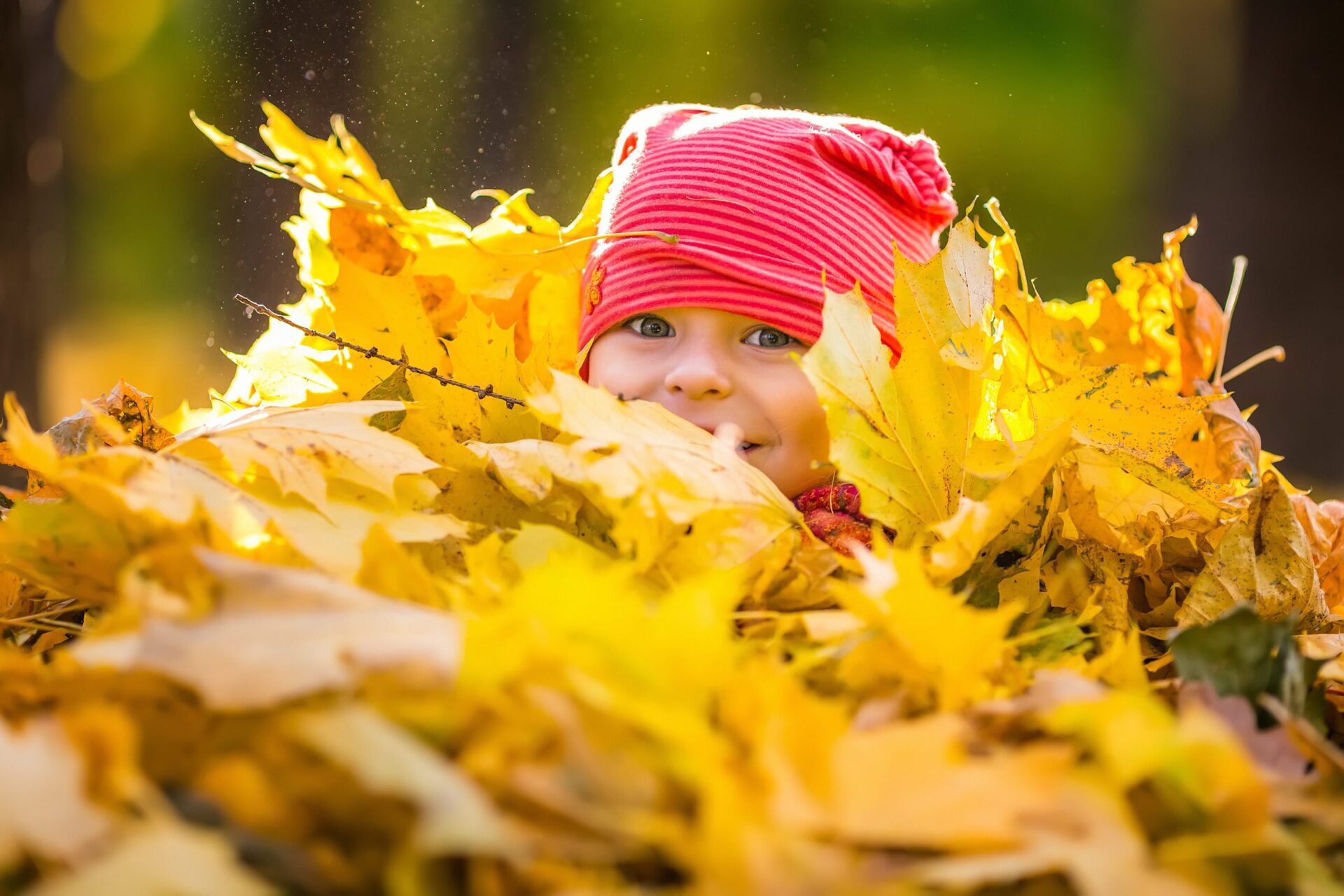 Little Girl Playing With Leaves - family support services franklin tn
